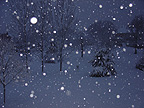 Night Snow Gala